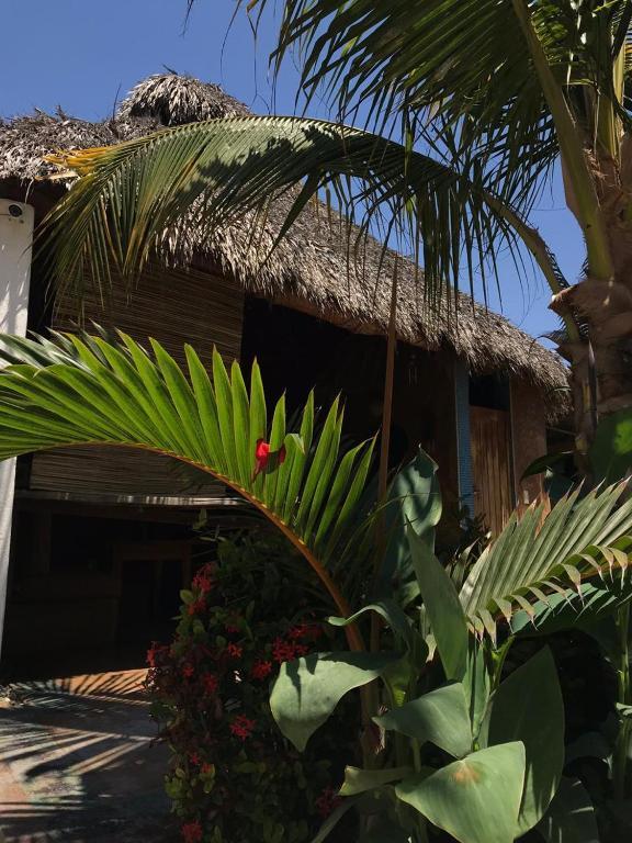 Condominio Agave Del Mar Коюка-де-Бенитес Экстерьер фото